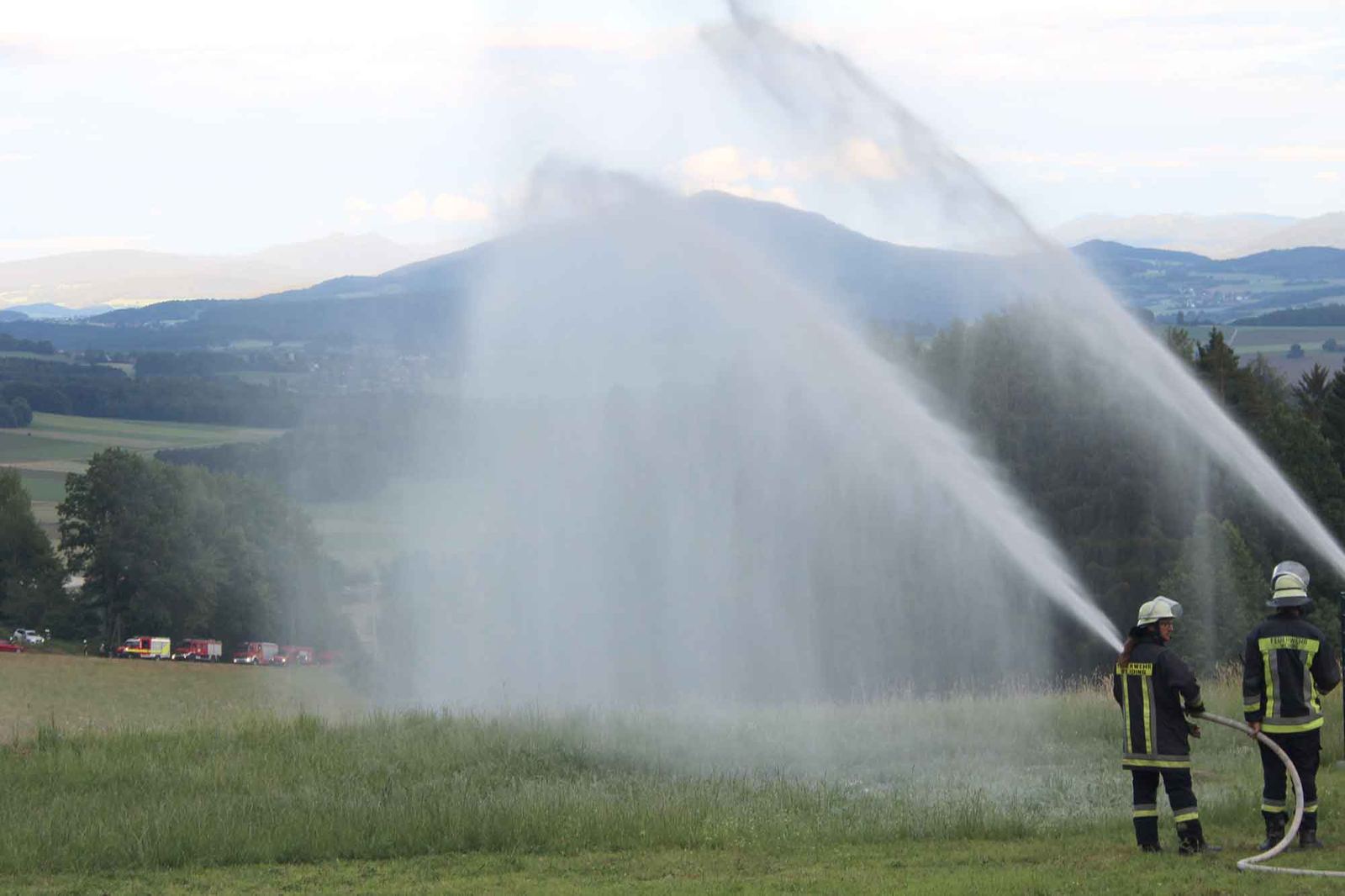 Mit zwei weiteren Strahlrohren wurde ein Flächenbrand bekämpft.