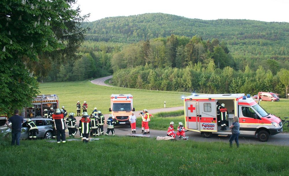 Nach dem Eintreffen vom BRK erfolgte professionelle Hilfe.